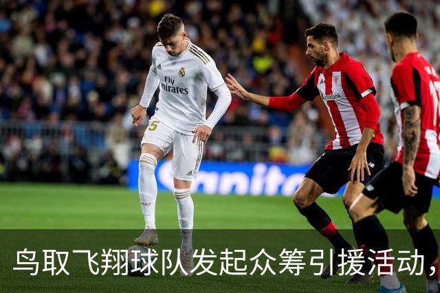 鸟取飞翔球队发起众筹引援活动，捐款可获海鲜大礼包